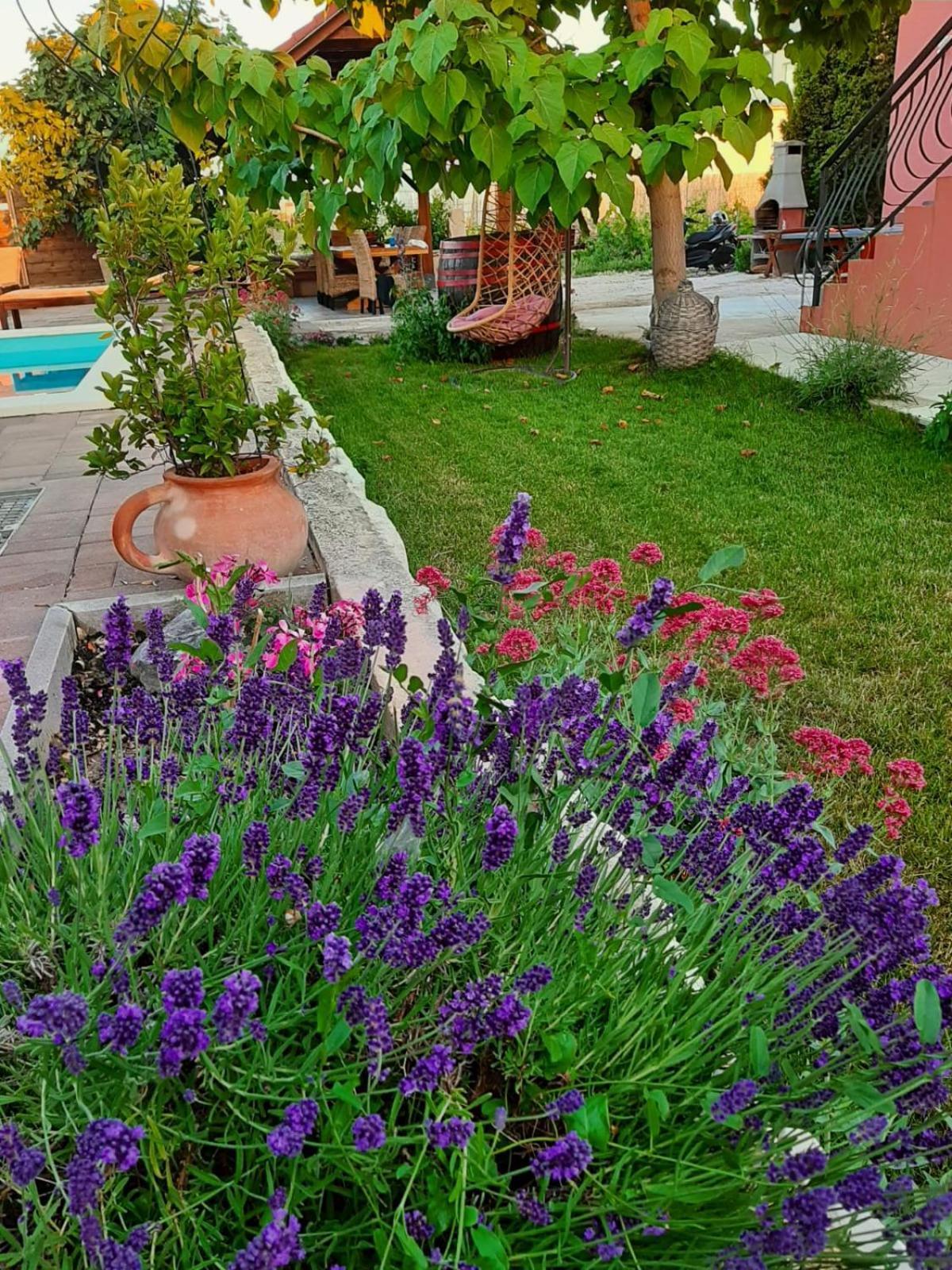 Apartment Smilje Šibenik Exteriör bild